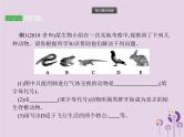 初中生物中考复习 课标通用中考生物总复习专题五生物圈中的其他生物课件