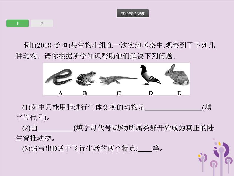 初中生物中考复习 课标通用中考生物总复习专题五生物圈中的其他生物课件第4页