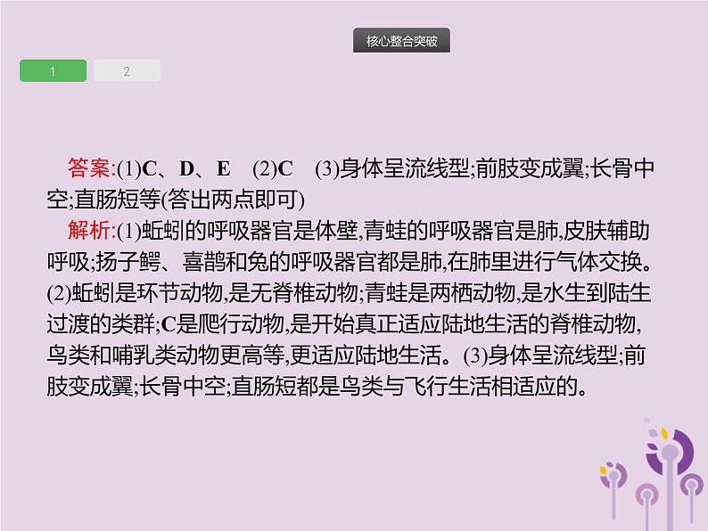 初中生物中考复习 课标通用中考生物总复习专题五生物圈中的其他生物课件第5页