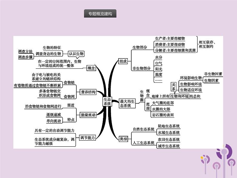 初中生物中考复习 课标通用中考生物总复习专题一生物和生物圈课件02