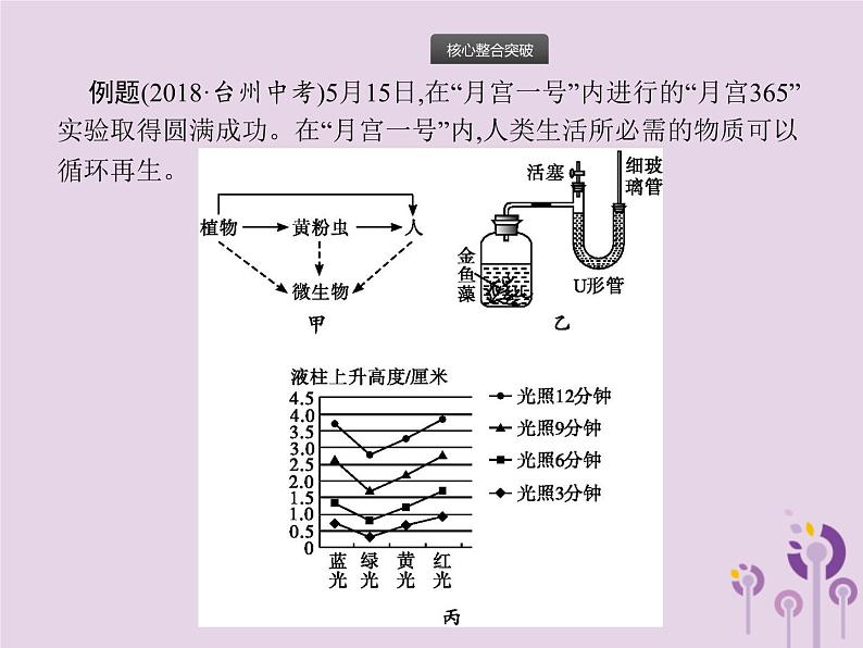 初中生物中考复习 课标通用中考生物总复习专题一生物和生物圈课件04