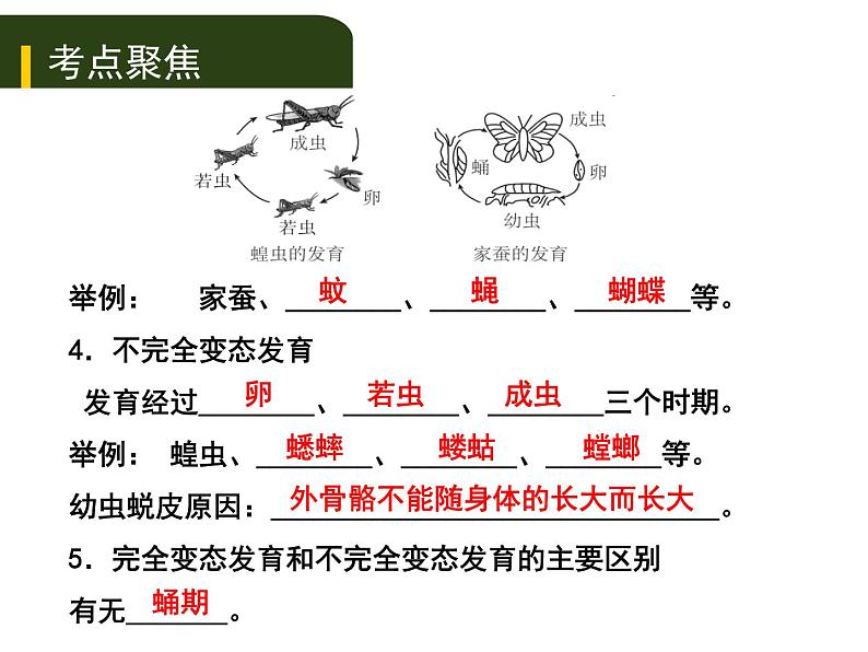 初中生物中考复习 七、（二）动、植物的生殖和发育课件PPT02