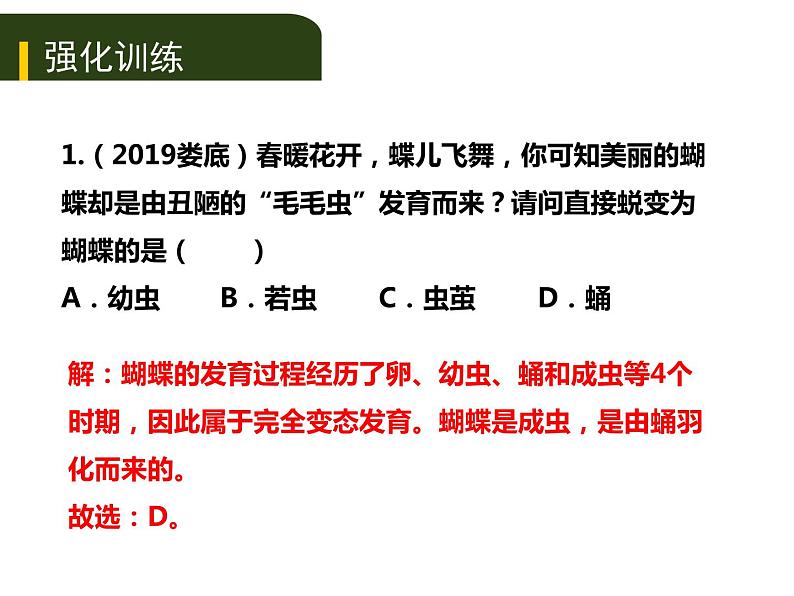 初中生物中考复习 七、（二）动、植物的生殖和发育课件PPT05