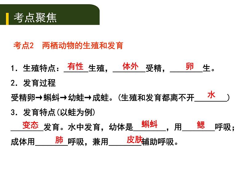 初中生物中考复习 七、（二）动、植物的生殖和发育课件PPT07