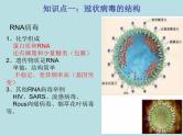 初中生物中考复习 热点03 新冠病毒-冲刺2022年中考生物重点难点热点突破精讲课件