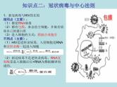初中生物中考复习 热点03 新冠病毒-冲刺2022年中考生物重点难点热点突破精讲课件