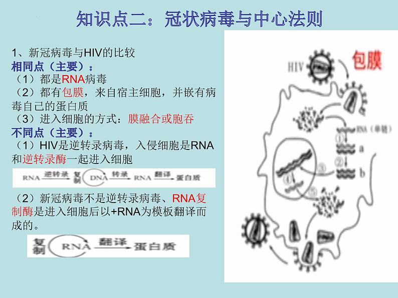 初中生物中考复习 热点03 新冠病毒-冲刺2022年中考生物重点难点热点突破精讲课件第3页