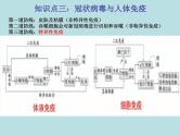 初中生物中考复习 热点03 新冠病毒-冲刺2022年中考生物重点难点热点突破精讲课件