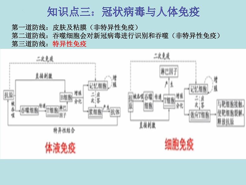 初中生物中考复习 热点03 新冠病毒-冲刺2022年中考生物重点难点热点突破精讲课件第4页