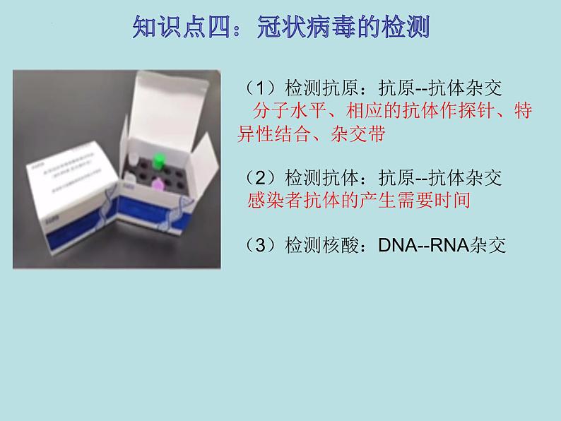 初中生物中考复习 热点03 新冠病毒-冲刺2022年中考生物重点难点热点突破精讲课件第5页