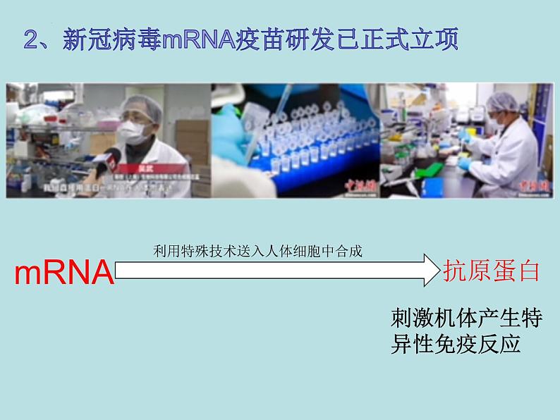 初中生物中考复习 热点03 新冠病毒-冲刺2022年中考生物重点难点热点突破精讲课件第7页