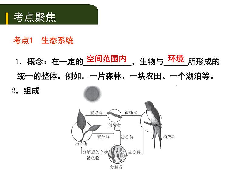 初中生物中考复习 三、（二）生物与环境组成  生态系统生物圈是人类与其他生物的共同家园课件PPT第1页