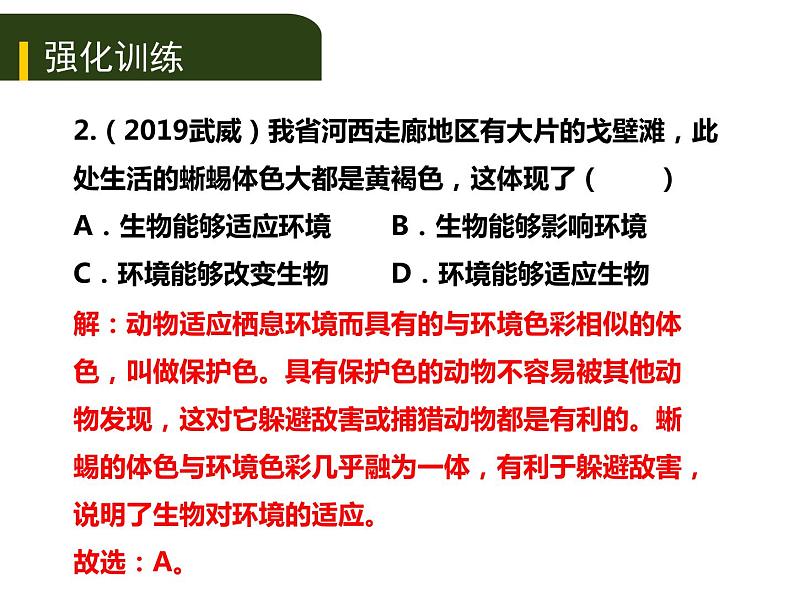 初中生物中考复习 三、（一）生物的生存依赖一定的环境课件PPT第7页