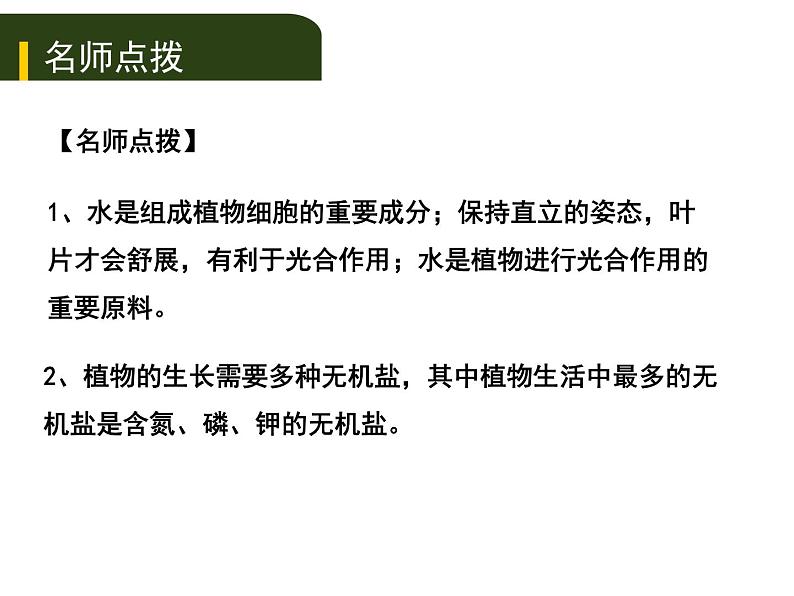 初中生物中考复习 四、（二）绿色植物的生活需要水和无机盐课件PPT第4页