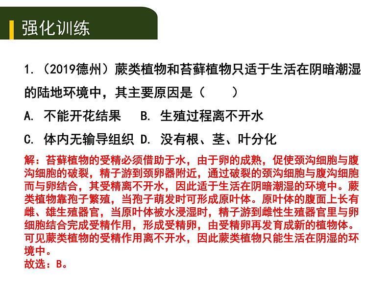 初中生物中考复习 四、（二）绿色植物的生活需要水和无机盐课件PPT第6页