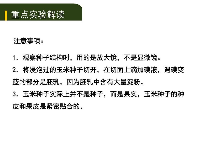 初中生物中考复习 四、（一）绿色开花植物的一生（实验）课件PPT第3页