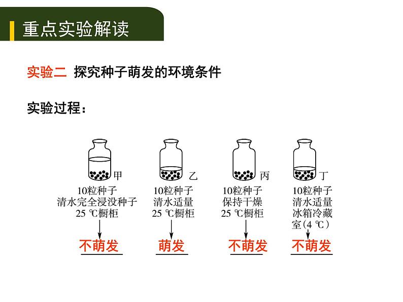 初中生物中考复习 四、（一）绿色开花植物的一生（实验）课件PPT第7页