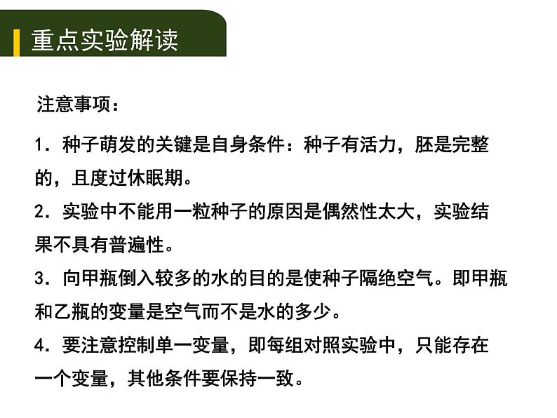 初中生物中考复习 四、（一）绿色开花植物的一生（实验）课件PPT第8页