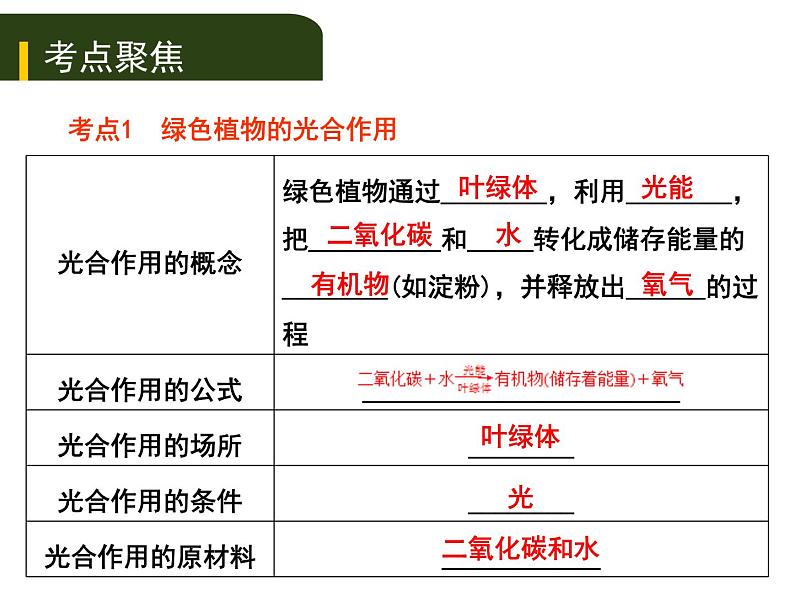 初中生物中考复习 四、（三）绿色植物的光合作用和呼吸作用课件PPT第1页