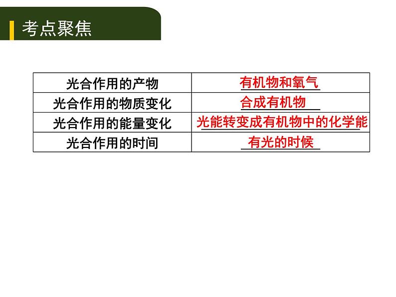 初中生物中考复习 四、（三）绿色植物的光合作用和呼吸作用课件PPT第2页