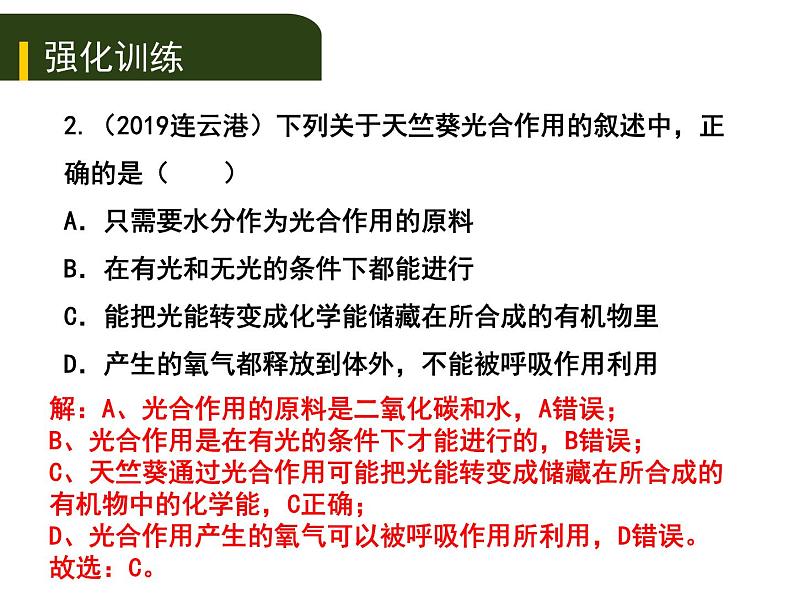 初中生物中考复习 四、（三）绿色植物的光合作用和呼吸作用课件PPT第6页