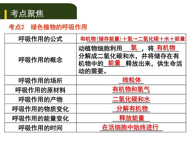 初中生物中考复习 四、（三）绿色植物的光合作用和呼吸作用课件PPT第8页