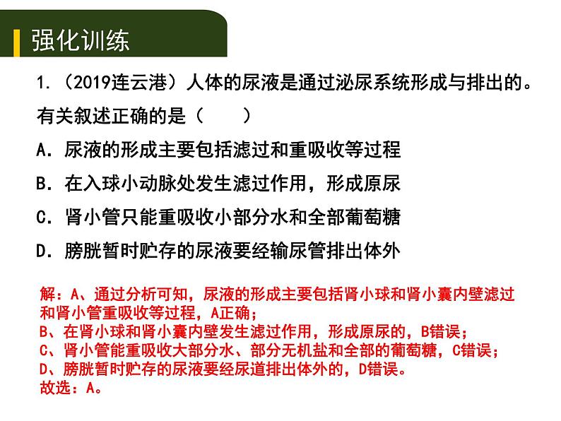 初中生物中考复习 五、（三）人体代谢废物的排出课件PPT04