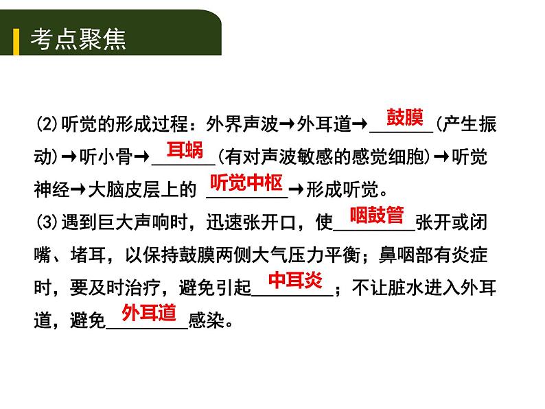 初中生物中考复习 五、（四）人体通过神经系统和内分泌系统调节生命活动课件PPT06