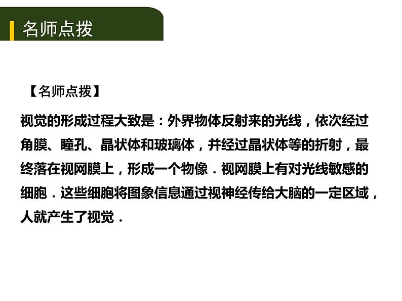 初中生物中考复习 五、（四）人体通过神经系统和内分泌系统调节生命活动课件PPT07