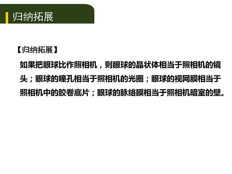 初中生物中考复习 五、（四）人体通过神经系统和内分泌系统调节生命活动课件PPT08