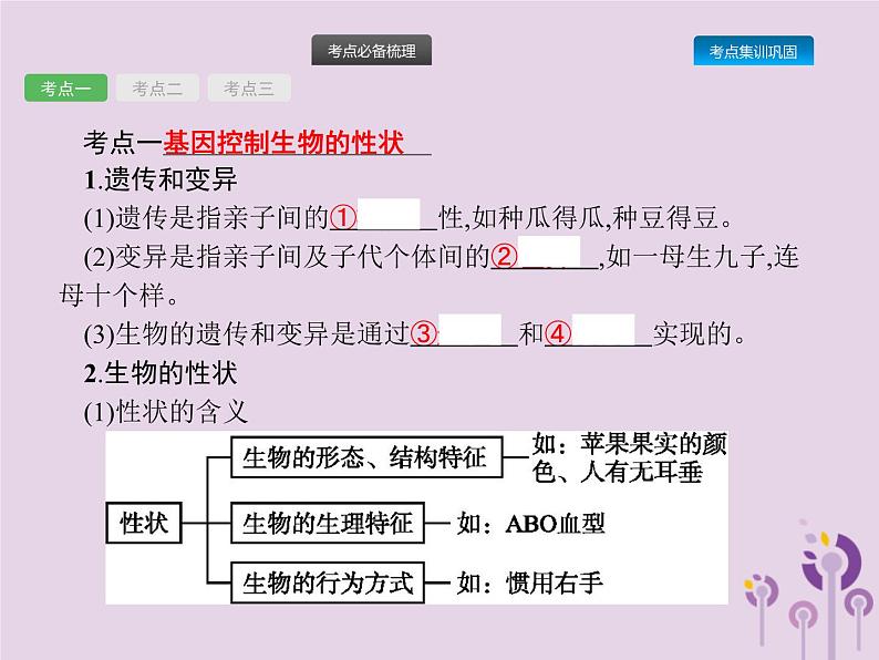 初中生物中考复习 课标通用中考生物总复习第七单元生物圈中生命的延续和发展第二十一讲生物的遗传和变异(一)课件02