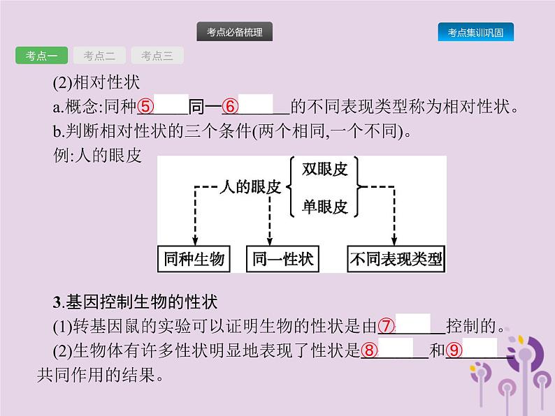 初中生物中考复习 课标通用中考生物总复习第七单元生物圈中生命的延续和发展第二十一讲生物的遗传和变异(一)课件03