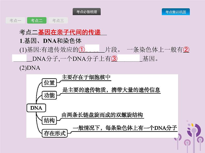 初中生物中考复习 课标通用中考生物总复习第七单元生物圈中生命的延续和发展第二十一讲生物的遗传和变异(一)课件04