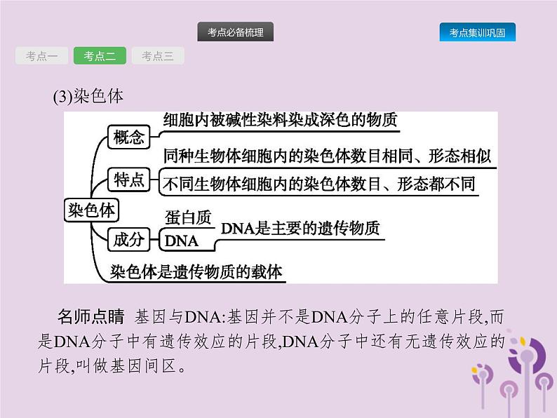 初中生物中考复习 课标通用中考生物总复习第七单元生物圈中生命的延续和发展第二十一讲生物的遗传和变异(一)课件05