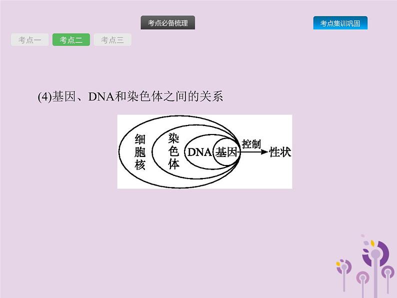 初中生物中考复习 课标通用中考生物总复习第七单元生物圈中生命的延续和发展第二十一讲生物的遗传和变异(一)课件06