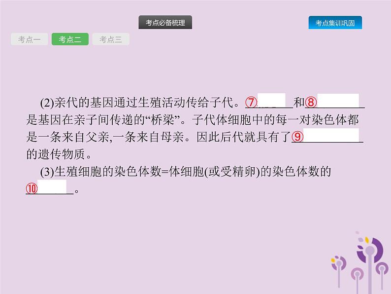 初中生物中考复习 课标通用中考生物总复习第七单元生物圈中生命的延续和发展第二十一讲生物的遗传和变异(一)课件08