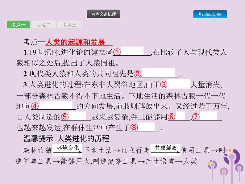 初中生物中考复习 课标通用中考生物总复习第四单元生物圈中的人第九讲人的由来课件第3页