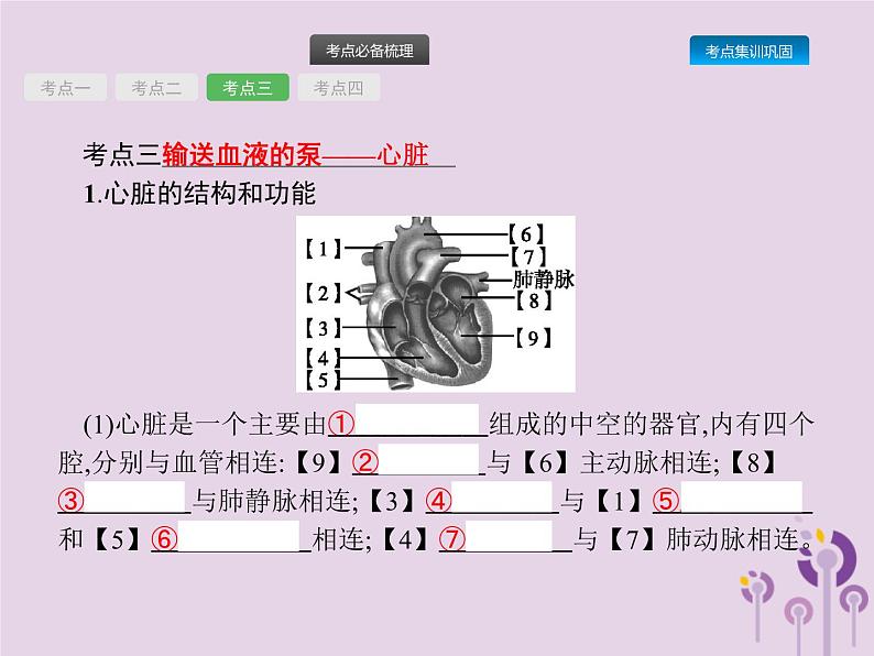 初中生物中考复习 课标通用中考生物总复习第四单元生物圈中的人第十二讲人体内物质的运输课件06