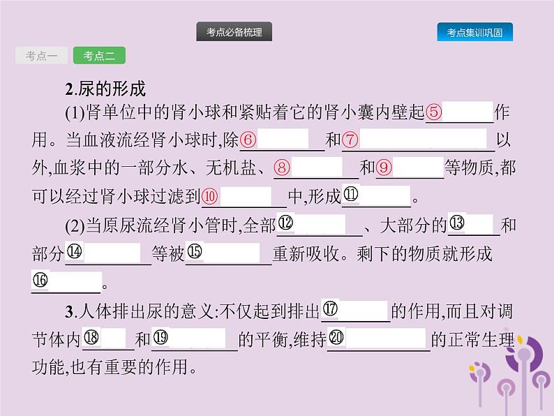 初中生物中考复习 课标通用中考生物总复习第四单元生物圈中的人第十三讲人体内废物的排出课件05