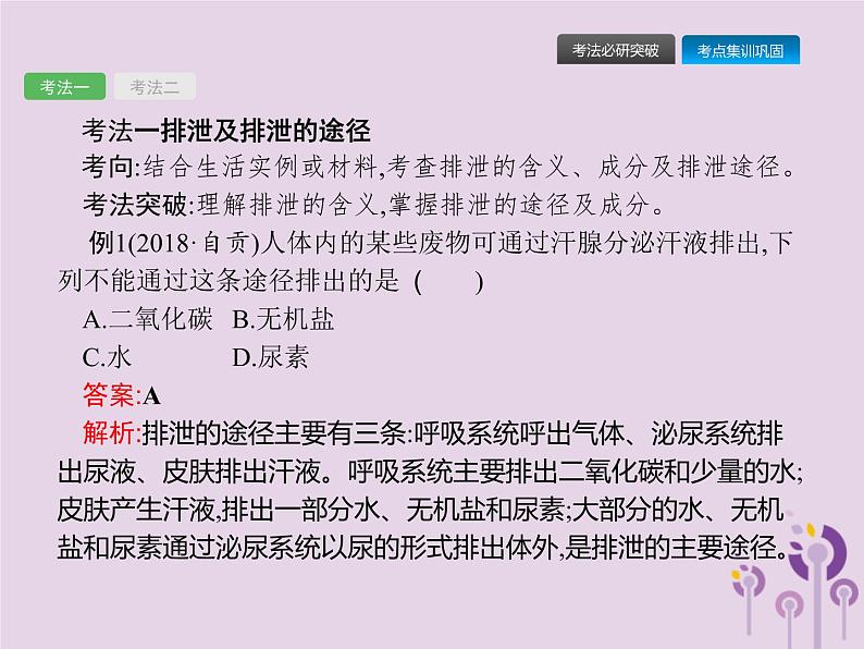 初中生物中考复习 课标通用中考生物总复习第四单元生物圈中的人第十三讲人体内废物的排出课件08