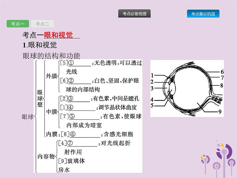 初中生物中考复习 课标通用中考生物总复习第四单元生物圈中的人第十四讲人体对外界环境的感知课件02