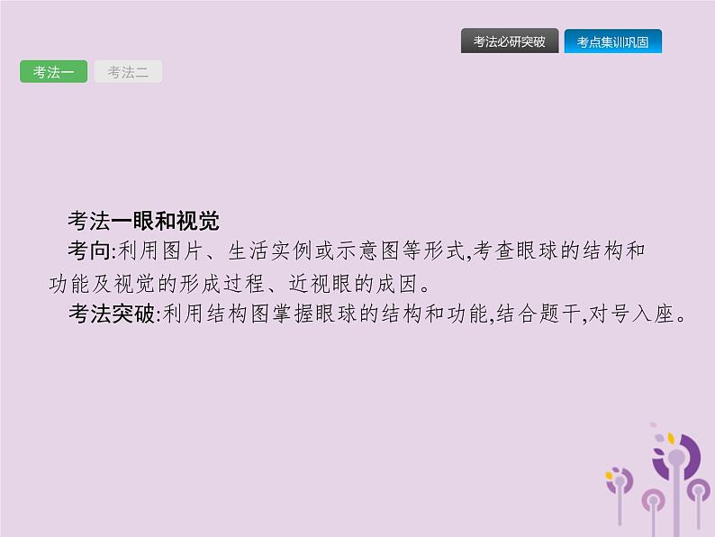 初中生物中考复习 课标通用中考生物总复习第四单元生物圈中的人第十四讲人体对外界环境的感知课件07