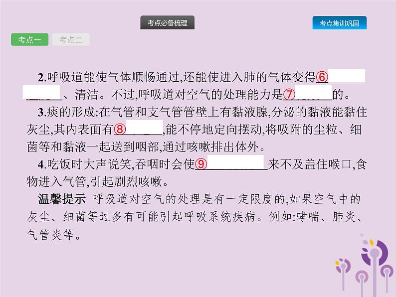 初中生物中考复习 课标通用中考生物总复习第四单元生物圈中的人第十一讲人体的呼吸课件第3页