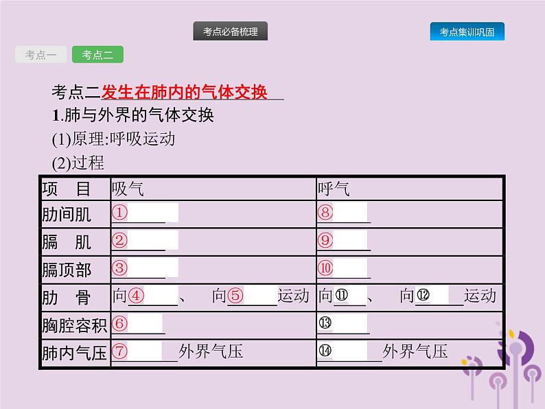 初中生物中考复习 课标通用中考生物总复习第四单元生物圈中的人第十一讲人体的呼吸课件第4页