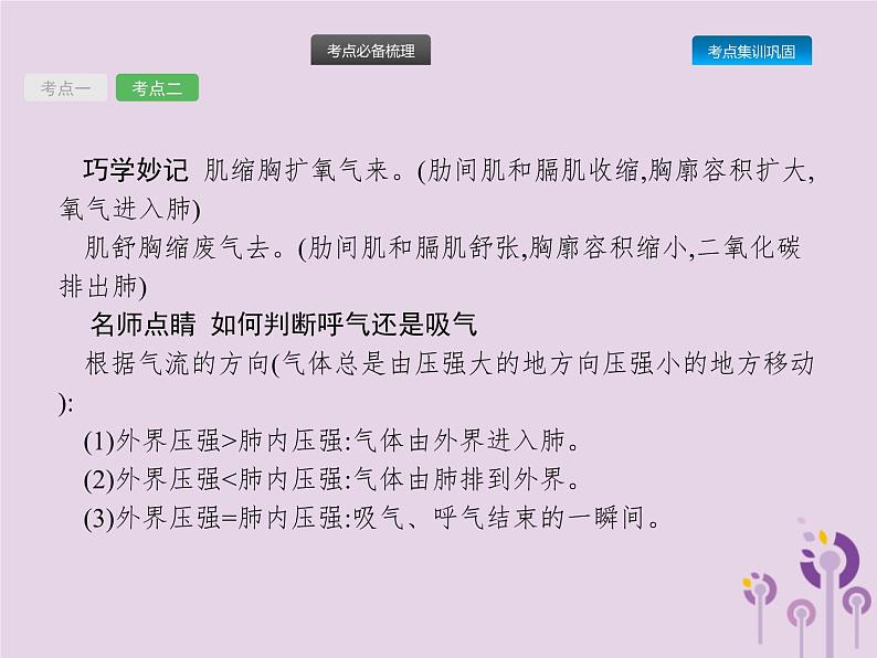 初中生物中考复习 课标通用中考生物总复习第四单元生物圈中的人第十一讲人体的呼吸课件第5页