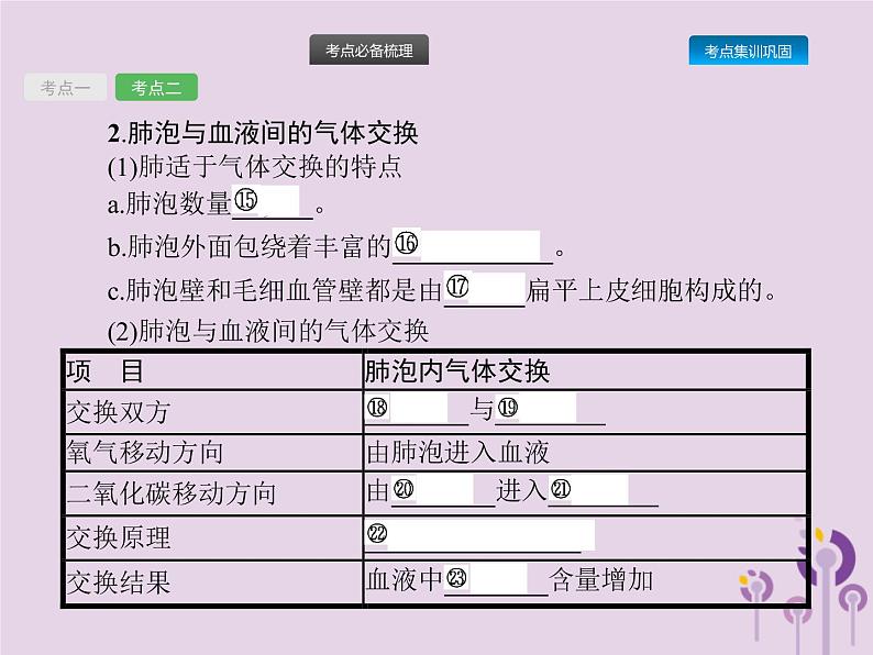 初中生物中考复习 课标通用中考生物总复习第四单元生物圈中的人第十一讲人体的呼吸课件第6页