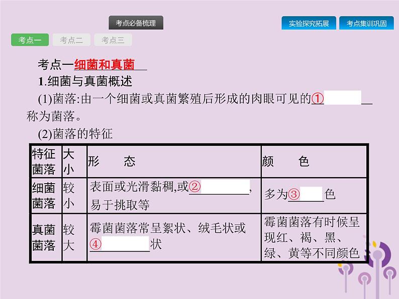 初中生物中考复习 课标通用中考生物总复习第五单元生物圈中的其他生物第十八讲细菌真菌和簿课件02