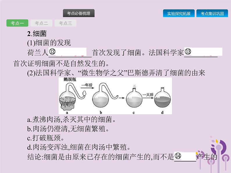 初中生物中考复习 课标通用中考生物总复习第五单元生物圈中的其他生物第十八讲细菌真菌和簿课件04