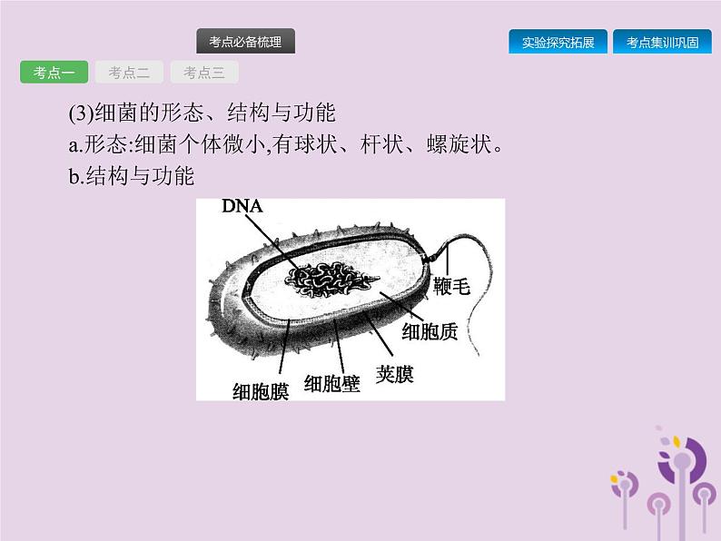 初中生物中考复习 课标通用中考生物总复习第五单元生物圈中的其他生物第十八讲细菌真菌和簿课件05