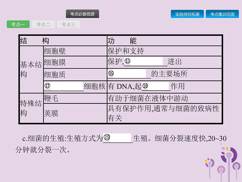 初中生物中考复习 课标通用中考生物总复习第五单元生物圈中的其他生物第十八讲细菌真菌和簿课件06